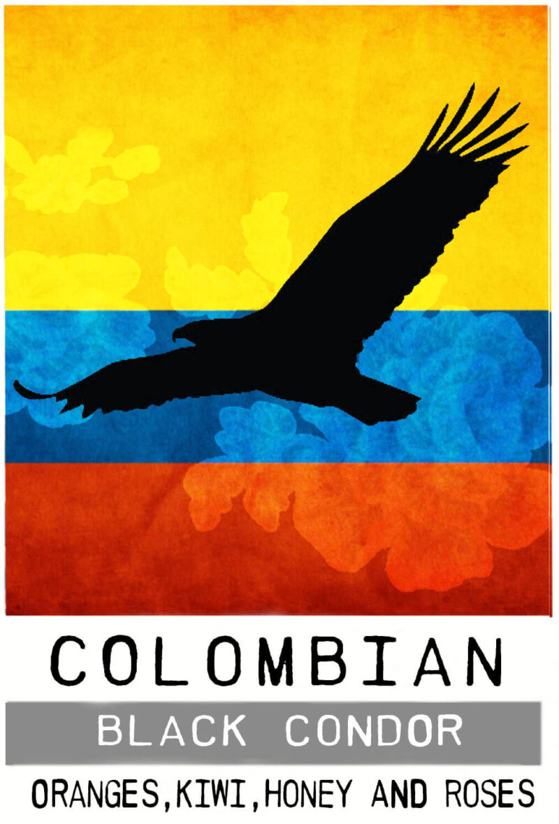 Colombian Black Condor Direct Trade Washed Light Medium Roast Specialty Coffee