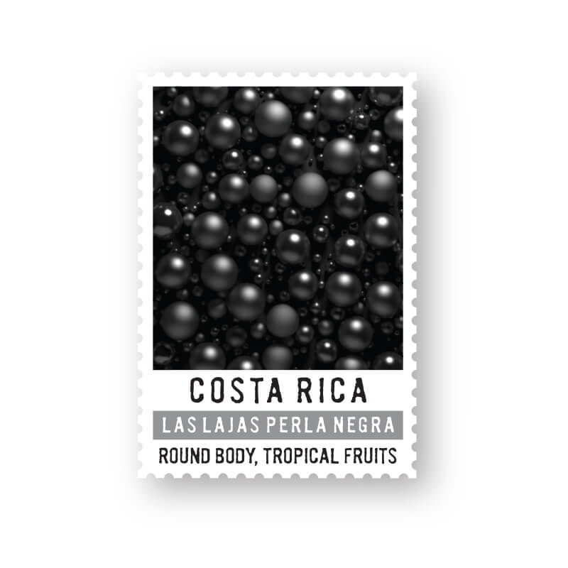 Costa Rica Las Lajas Perla Negra Durango Coffee Company
