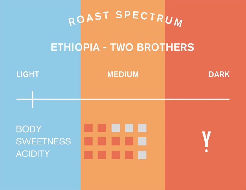 Ethiopia Two Brothers Natural Roast Spectrum