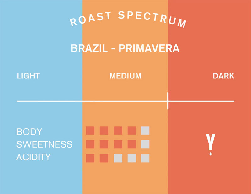 Brazil Primavera Naturally Processed Coffee Medium Dark Roast Spectrum