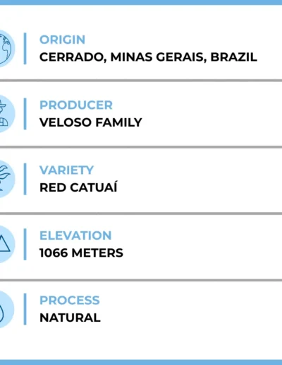 Amsterdam Joe Coffee Details