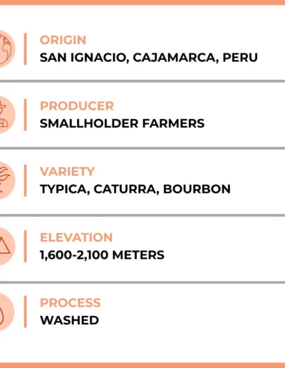 Benchmark Joe Coffee Details