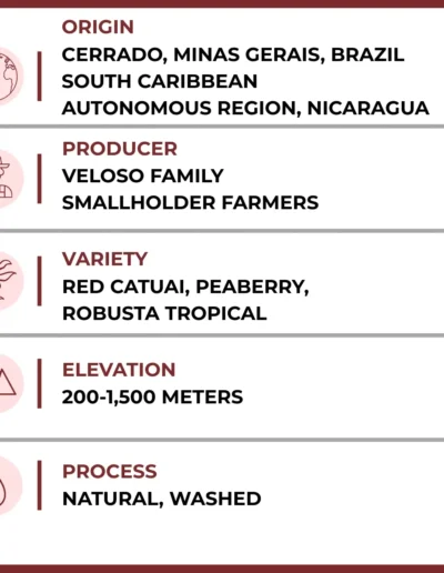 Big City Joe Coffee Details