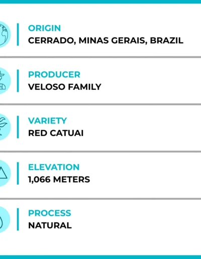 Great Heights Joe Coffee Details