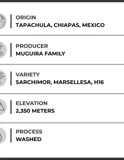 Nightcap Decaf Joe Coffee Details