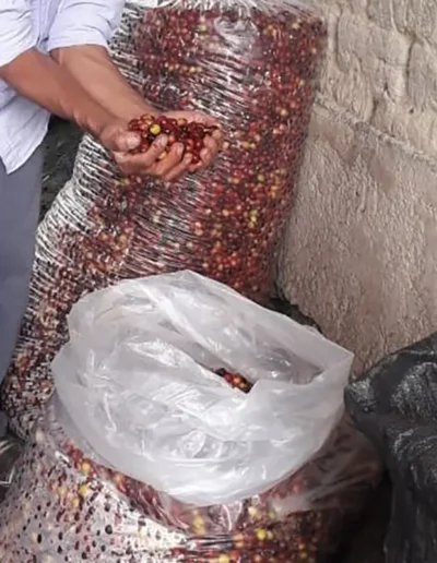 Santo Huancas Benchmark