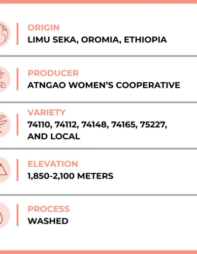 The Village Joe Coffee Details 1