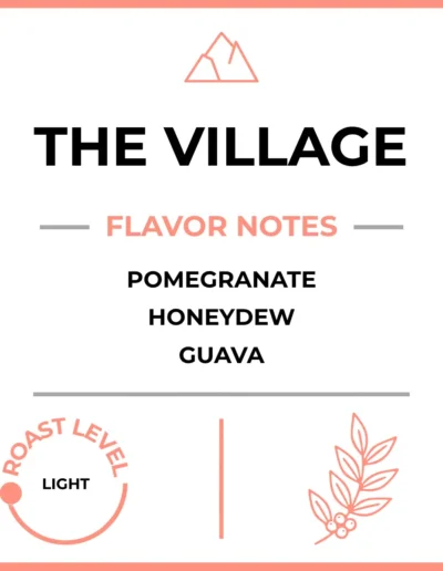 The Village Joe Coffee Tasting Notes 1