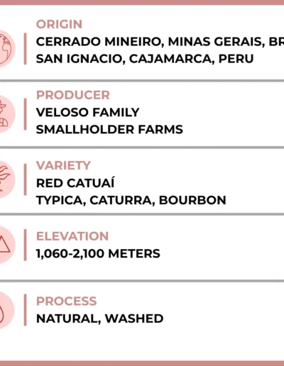 The Waverly Joe Coffee Details