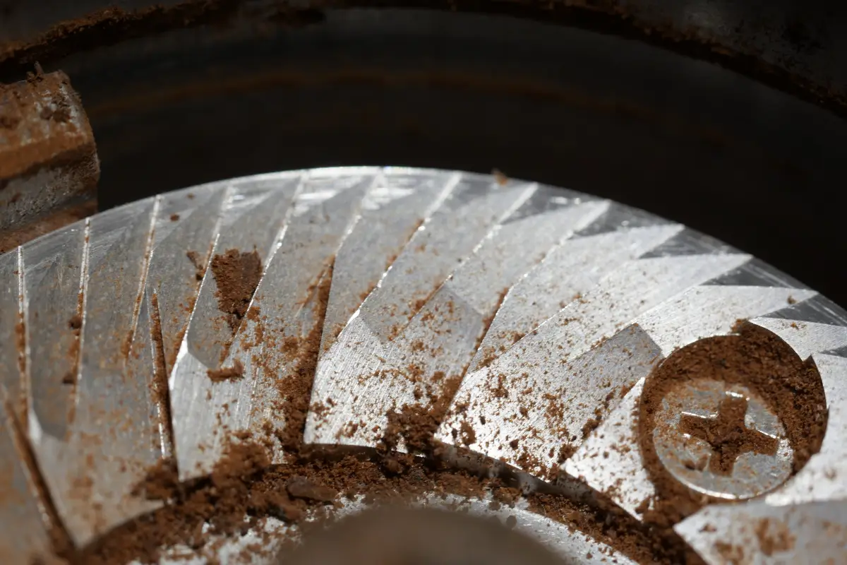 Coffee residue on burr grinder burrs before routine cleaning and maintenance.