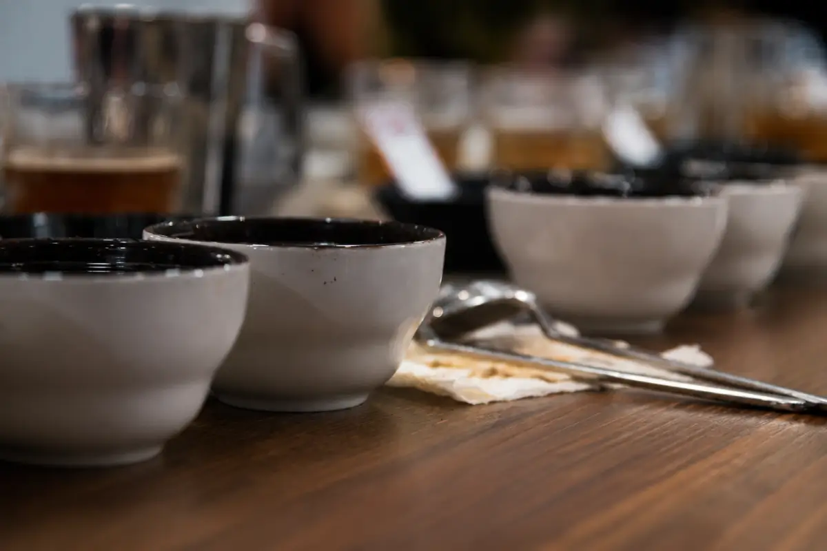 Coffee professional evaluating specialty coffee through cupping