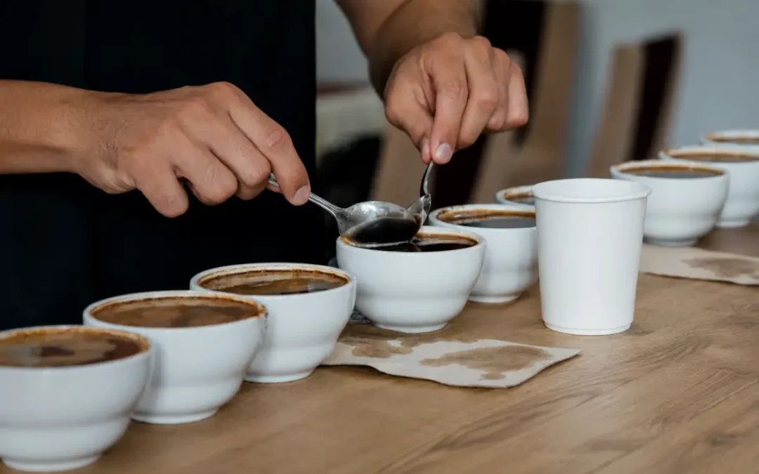 What Is Specialty Coffee?